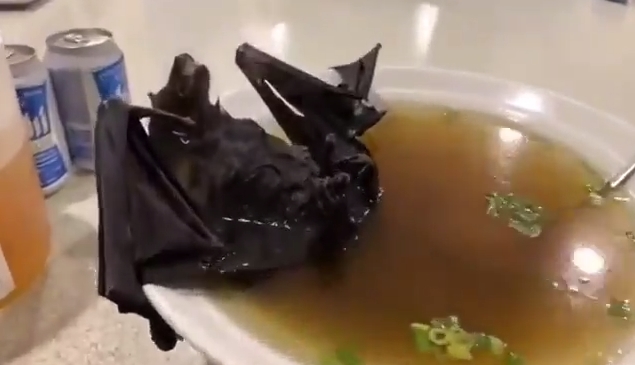 CORONAVIRUS IN USA WITH BAT SOUP >> bit.ly/36e7h5e
-
#NickiMinajIsComing Jim Lehrer Marsha #DoomsdayClock Purple Heart Vindman #colourpop9milli