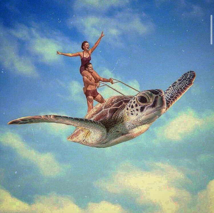 I Am Cool 

With These Guys 

Here is a Picture 

Of Me 

Swooping a Fly Bird 

Most Don’t Do this