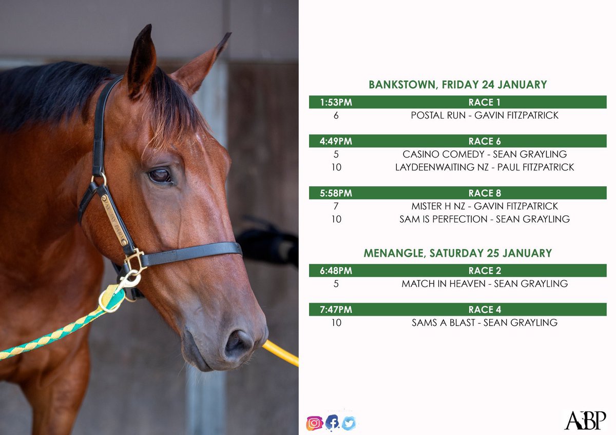 JayJayFarm1's tweet photo. Racing starts today at Bankstown! 🔰 https://t.co/ZDrK47rPwh
