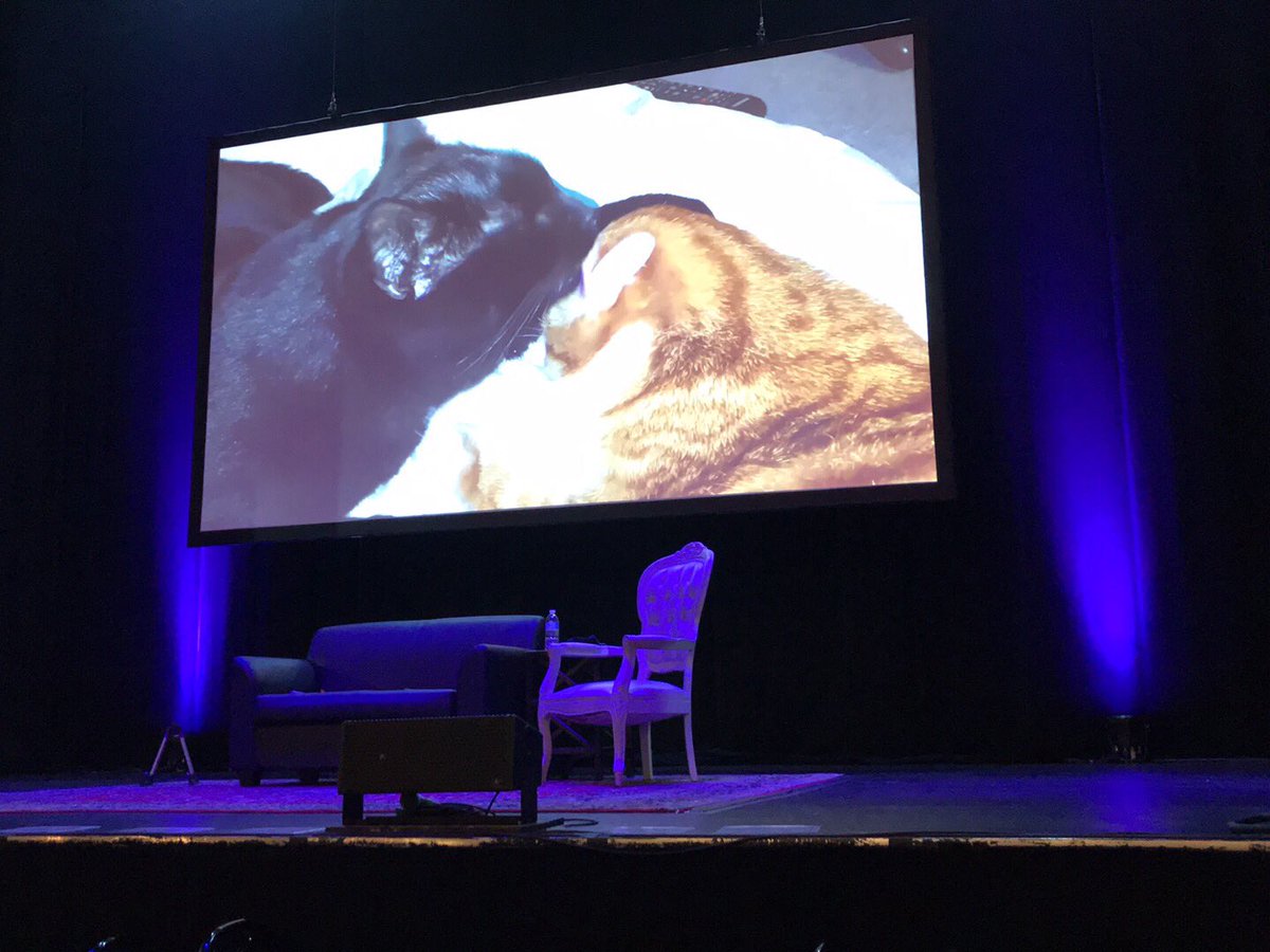 Night of firsts... first time at the Wilbur Theater (Boston), and first time seeing Jackson Galaxy!  #totalcatmojolive #jacksongalaxy #catdaddy