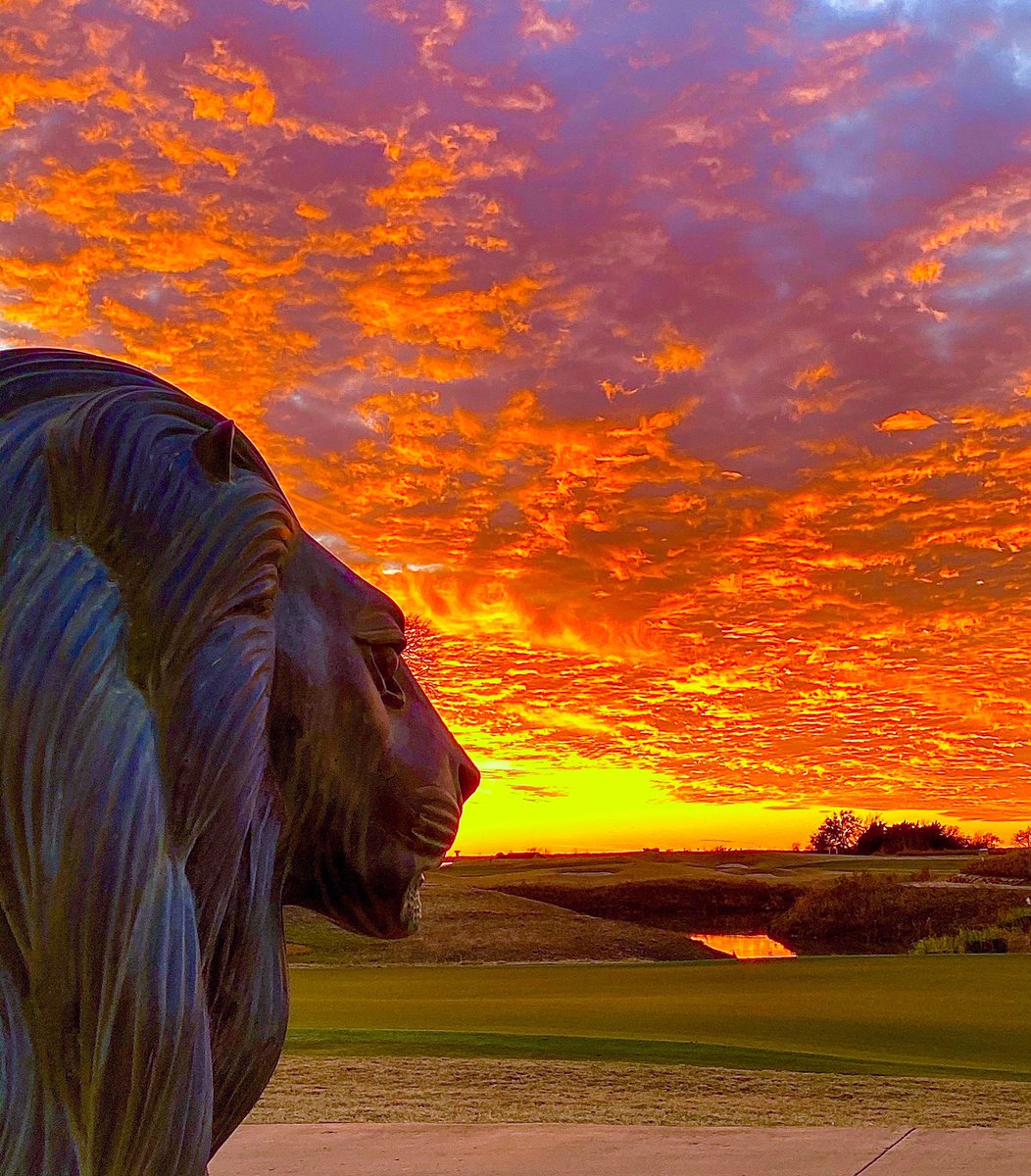 Sunsets on the peninsula 😍 happy #tributethursday everyone! We’re almost to the weekend! 

#sunset #tributegolf #views