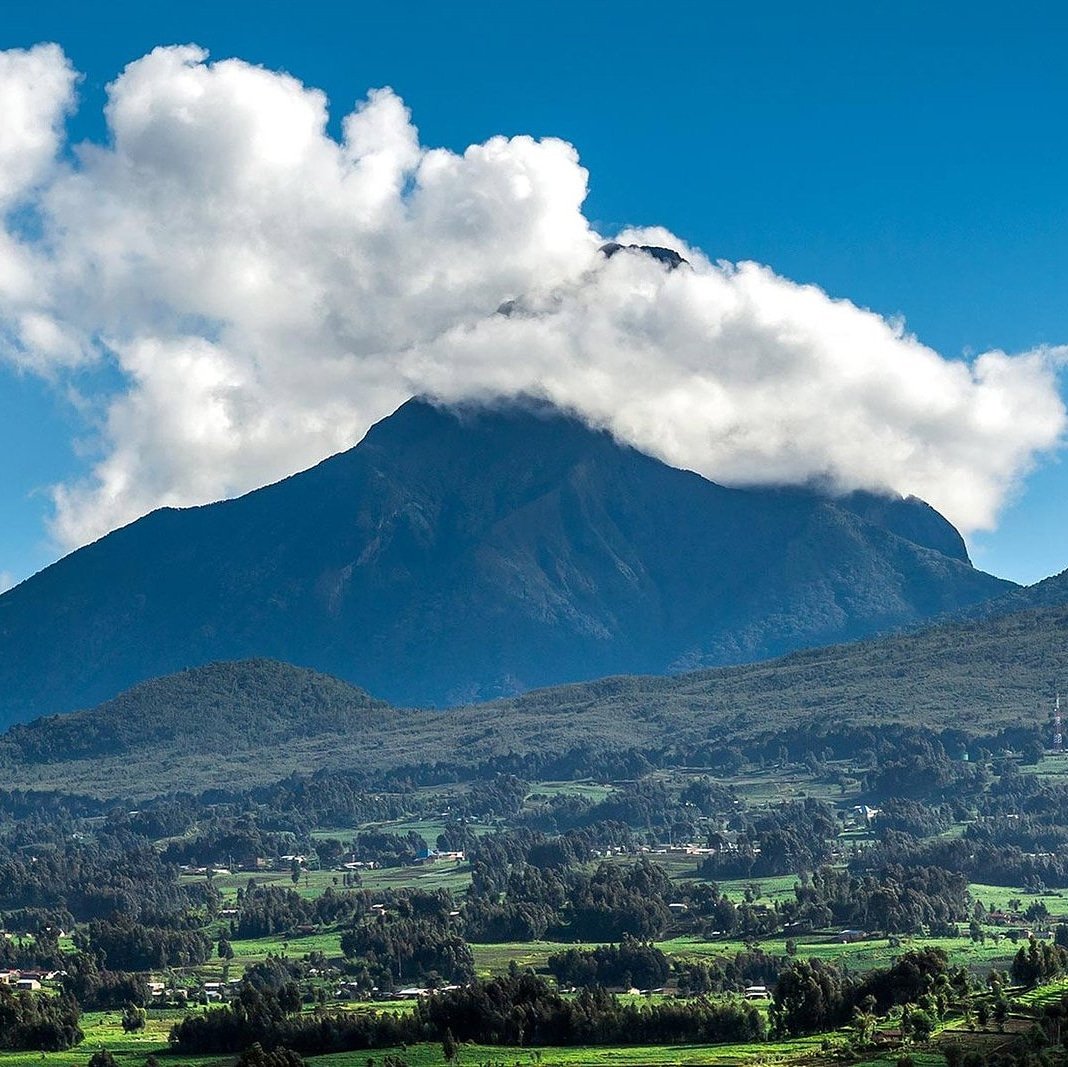 MultitasksOasis's tweet image. Dear all ,
Oasis Rwanda Tours we are happy to be with you on this Platform