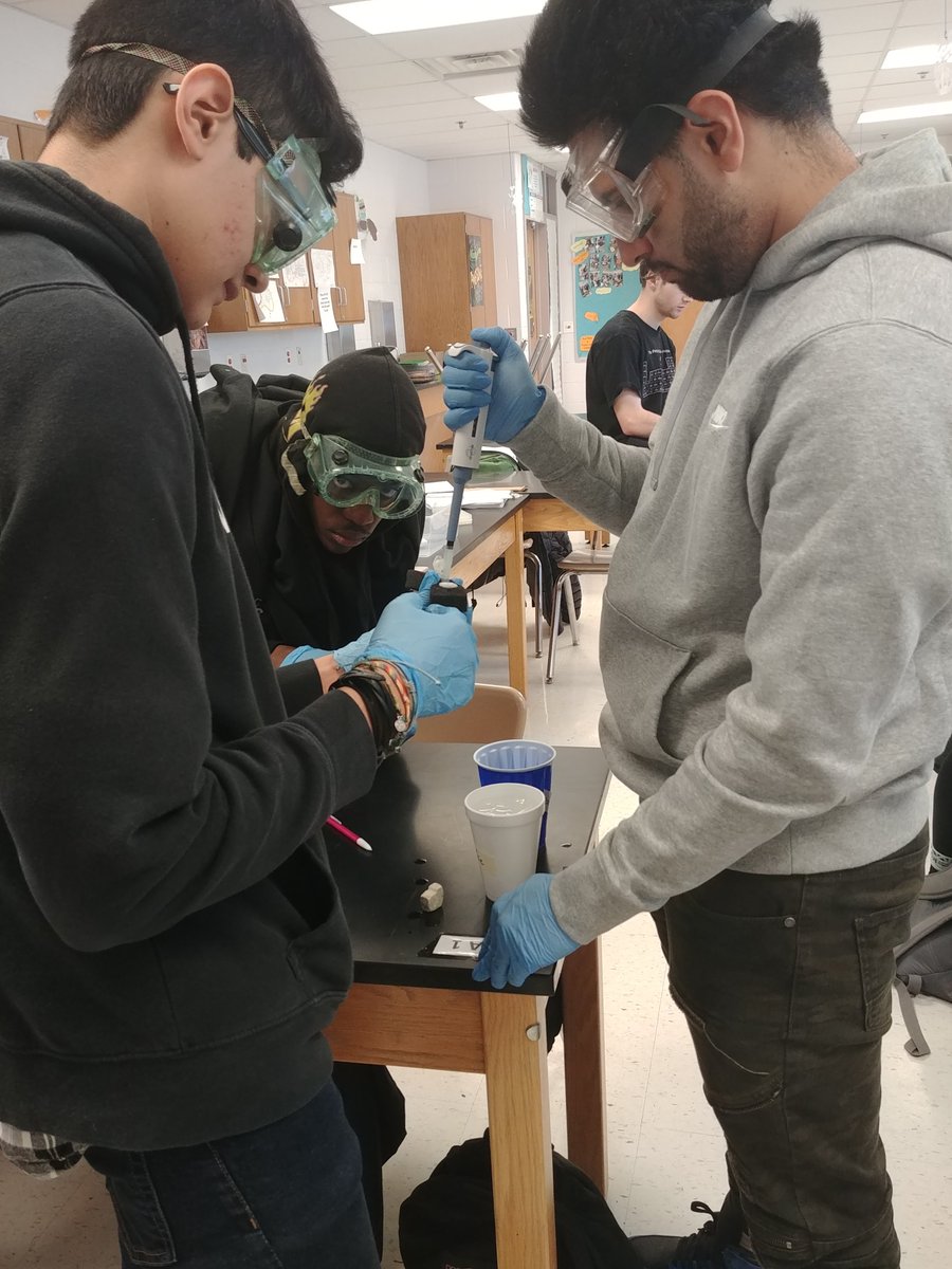 Students performed bacterial transformation to make glowing bacteria! Groups also learned a tough lesson - takes multiple trials and failures along the way in the pursuit of science. Proud of the collaboration and attention to detail they exhibited.
#theRockvilleWay <a href="/DeptScience/">Rockville High School's Science Department</a>