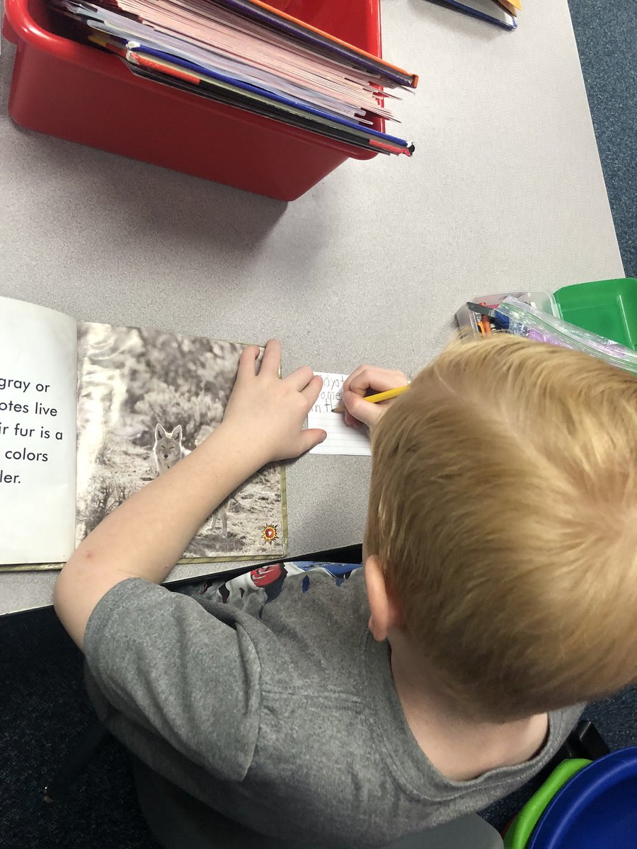 KeithKLilley's tweet photo. Proof that kiddos are capable & can rise to the challenge. #ProudTeacher #BeKeith @Keith1stGrade @CFISDKeith #ReadingResponses #ThisIsFirstGrade https://t.co/BZ9gzNGSG5