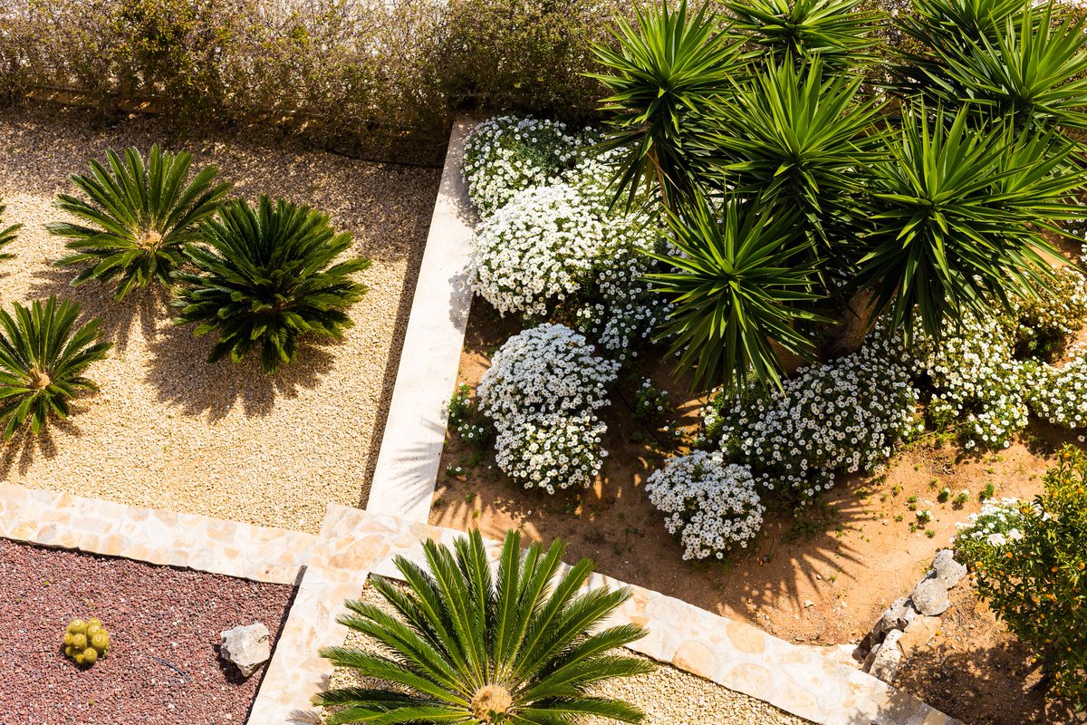 cvwdh2o's tweet photo. We're offering several landscape workshops this winter and spring. Check them out:  https://t.co/G3qTgRI3yz https://t.co/D3ghSNGHMp