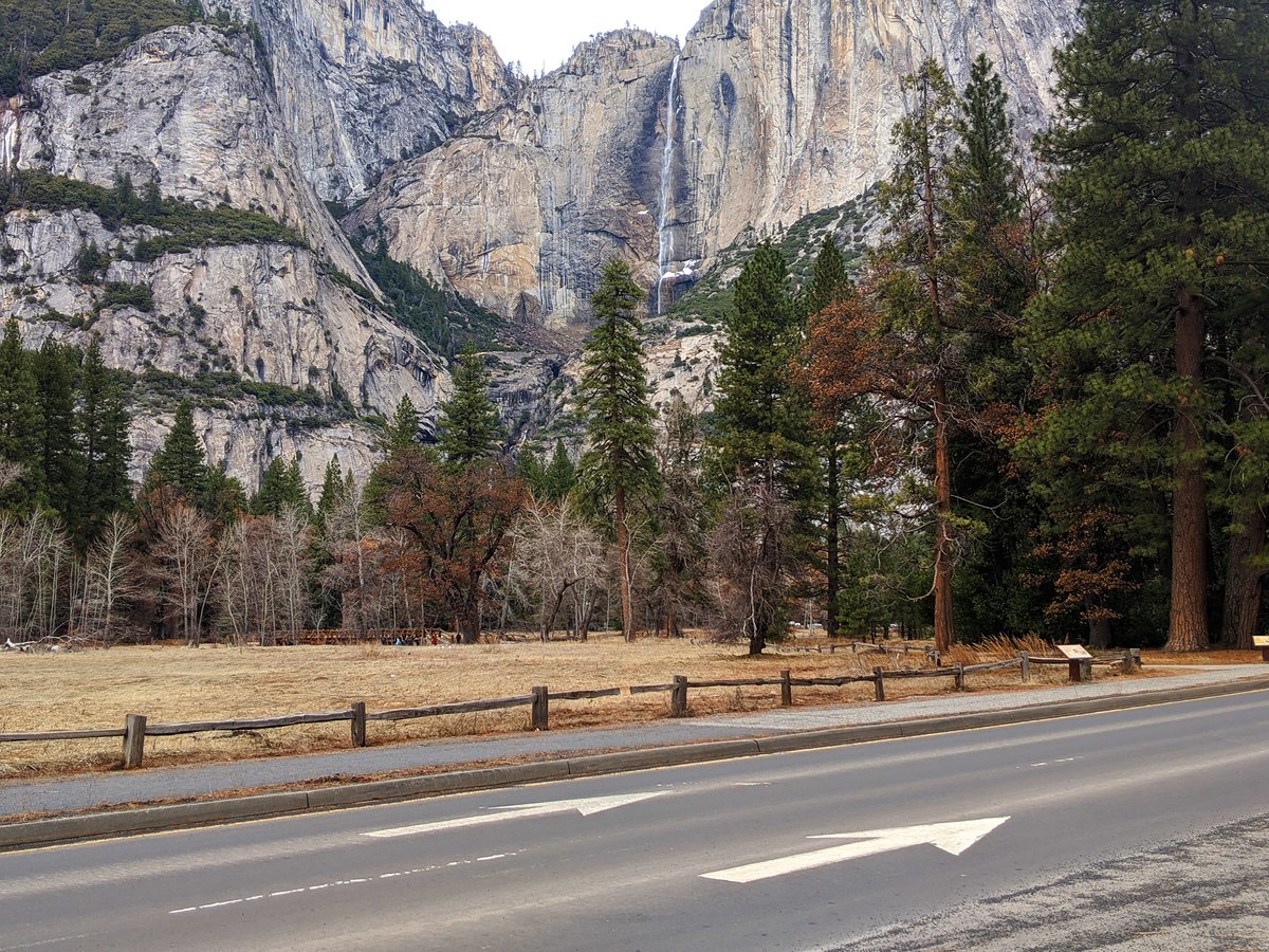 The same spot in 2020, returned to wild meadow.