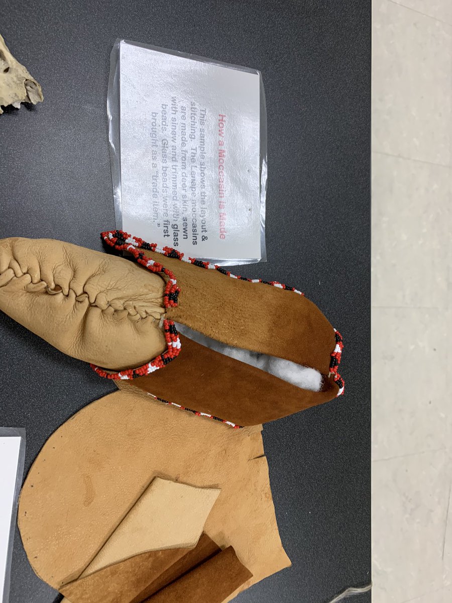 AngelCassetta's tweet photo. Learned about Native American culture through hands on exploration presented by a Lenni Lenape Indian. #nativeamericanheritagefoundation #wilburinspired https://t.co/WjOkUYwABi