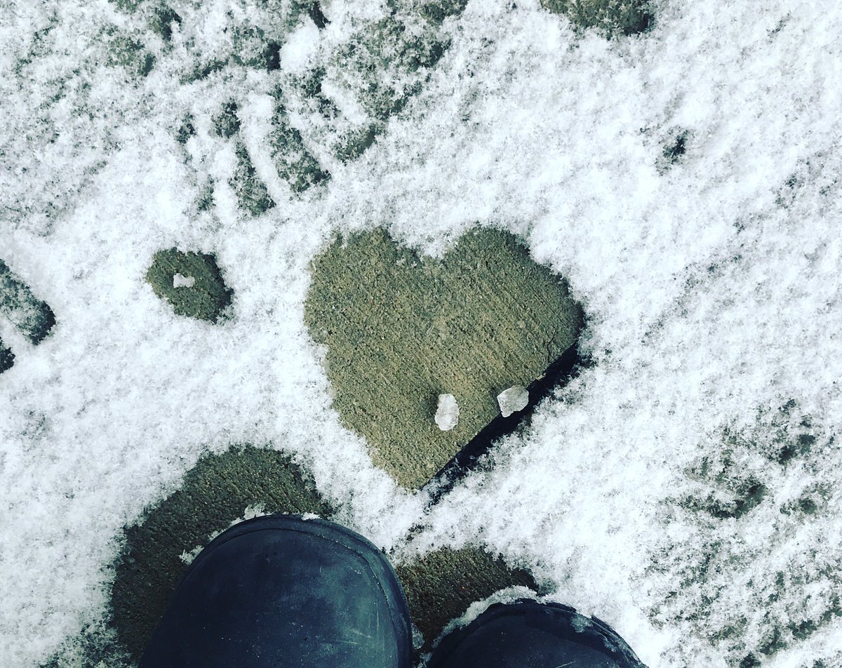 carroristCEO's tweet photo. Let’s #carrorize with more consciousacts of #kindness #ThursdayThoughts https://t.co/gfy8GGCop3