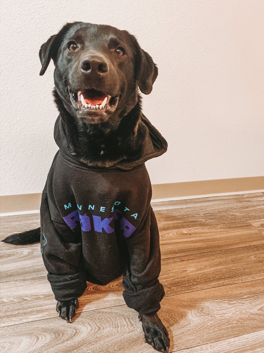 fionademario's tweet photo. Hey @esports_mn check out these @ROKKR good boys all ready for @CODLeague Launch Weekend! https://t.co/FrwsvRIvRa