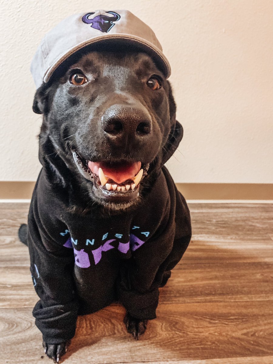 fionademario's tweet photo. Hey @esports_mn check out these @ROKKR good boys all ready for @CODLeague Launch Weekend! https://t.co/FrwsvRIvRa