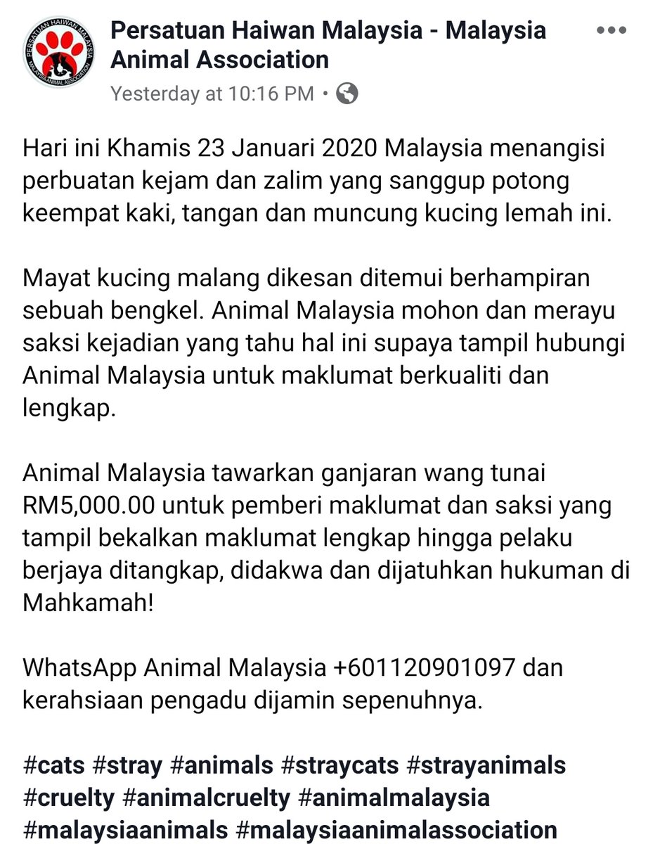 KhalifahMedia's tweet photo. Kaki, tangan dan muncung kucing dipotong. 😭 Animal Malaysia Tawarkan ganjaran Rm5,000 utk pemberi maklumat dan saksi yang lengkap hingga pelaku berjaya ditangkap!! 😡

Sebarkan gais!! https://t.co/WJG8asuvub