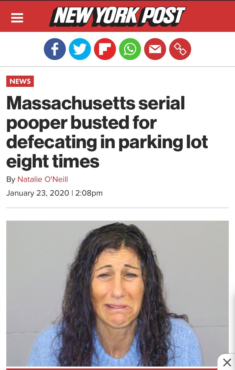 thenostalgiasoc's tweet photo. Now this is the sort of investigative journalism we need more of in the world 🌎 #pooperscooper #hahadaily https://t.co/ztGDBh8PdO