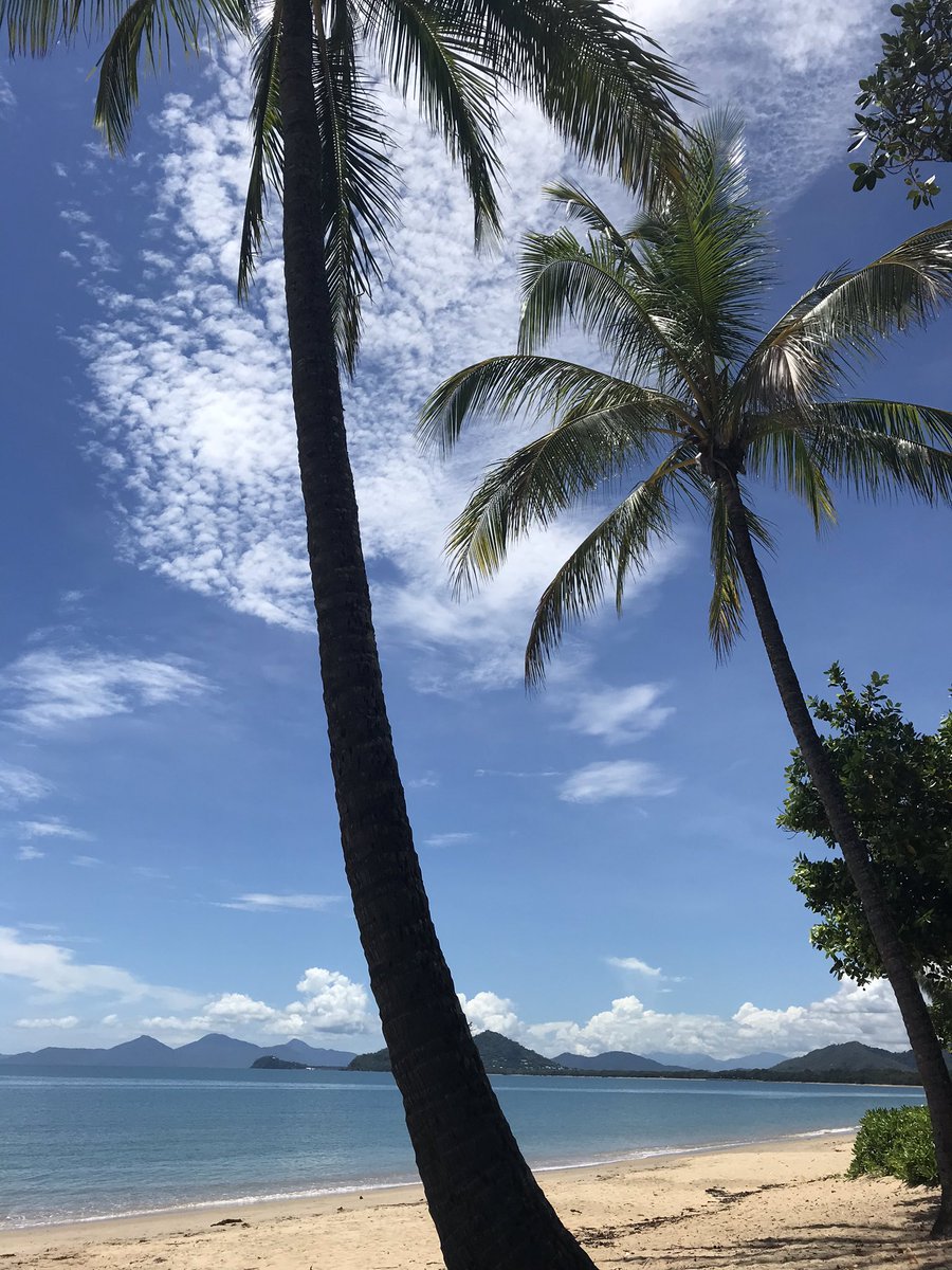 BatemanDan's tweet photo. Believe it or not, I’m actually working here today #ilikecoconuts #PalmCove @PalmCove_QLD https://t.co/XmF7UPTSgs