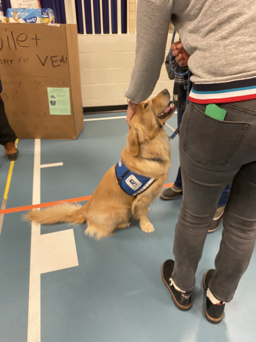 Highlands_ELEM's tweet photo. HL service learning fair. An amazing event and spirit of giving. Thanks @PTOHighlands @edinaschools https://t.co/xcj29VRMEg