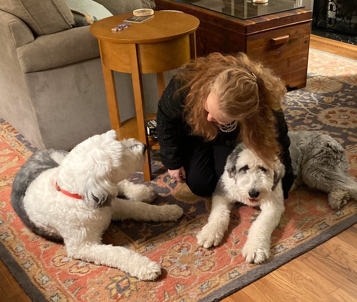 FalterForJudge's tweet photo. After stopping by @KMKLaw with @Judgemock @judgejwilliams and Judge Kim Burke for a Meet and Greet and then Western Hills Country Club for @VoteJoeDeters it was nice to be home greeted by my furry family members. Pets are family too. #HomeSweetHome https://t.co/HnaDI2tnnt https://t.co/yyGbgrhE1Z
