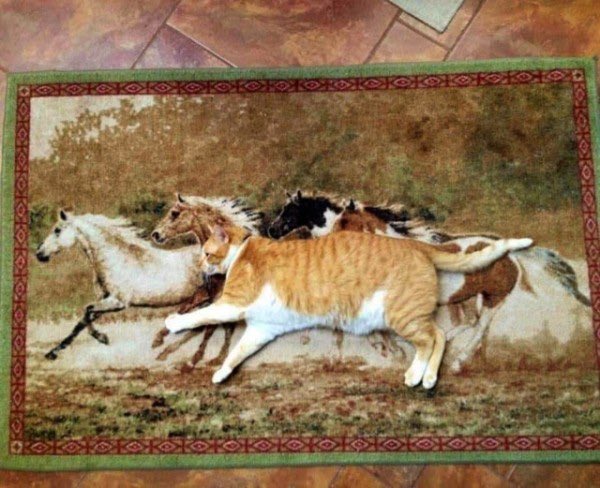 TheRealMeow4's tweet photo. And I’m off to the races! https://t.co/DPCfb2MvjB