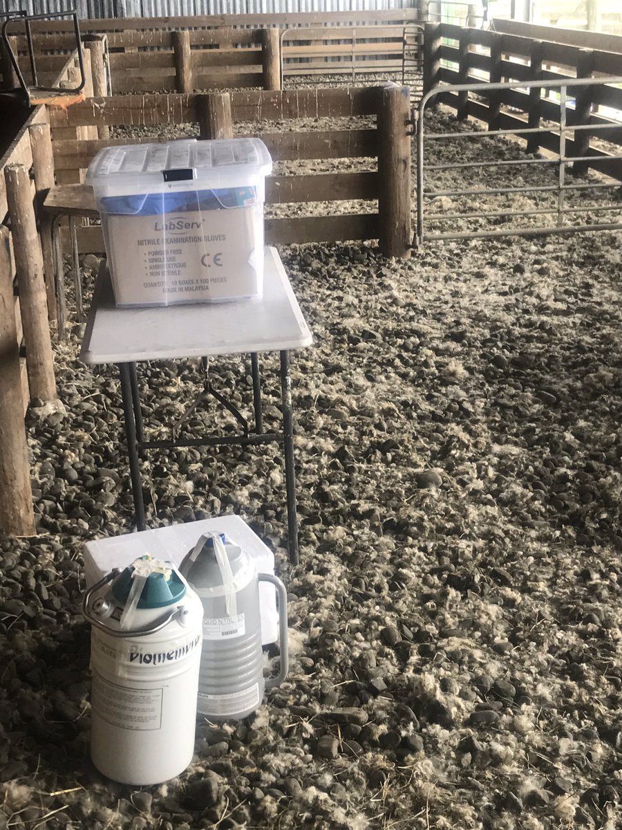 Leahy_SC's tweet image. My office for the day #WorkToBeDone #OutOnFarm #MethLAB