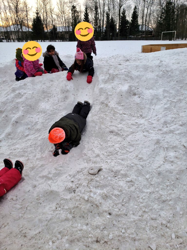 MHarper224's tweet photo. Balance, climbing, and sliding and turn taking, and role playing "arctic animals." 
@SCDSBey 
@scdsboutdoors 
@BirchviewDunes https://t.co/9gIziUDJRC