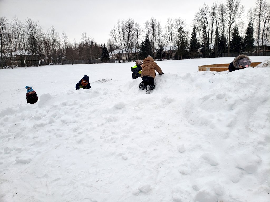 MHarper224's tweet photo. Balance, climbing, and sliding and turn taking, and role playing "arctic animals." 
@SCDSBey 
@scdsboutdoors 
@BirchviewDunes https://t.co/9gIziUDJRC