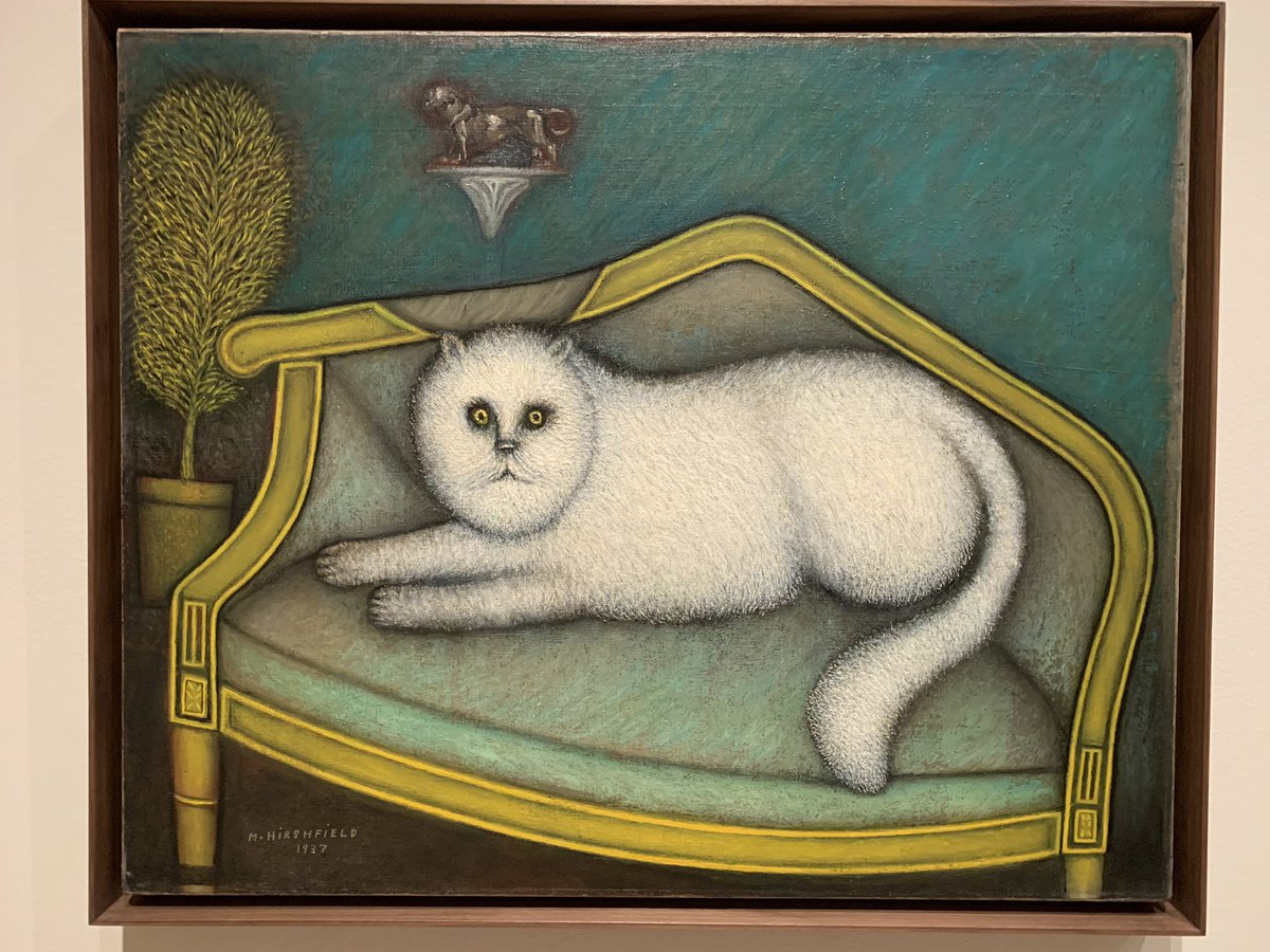 TheRealMeow4's tweet photo. Angora Cat, 1937 by Morris Hirshfield https://t.co/NcZlhczwEu