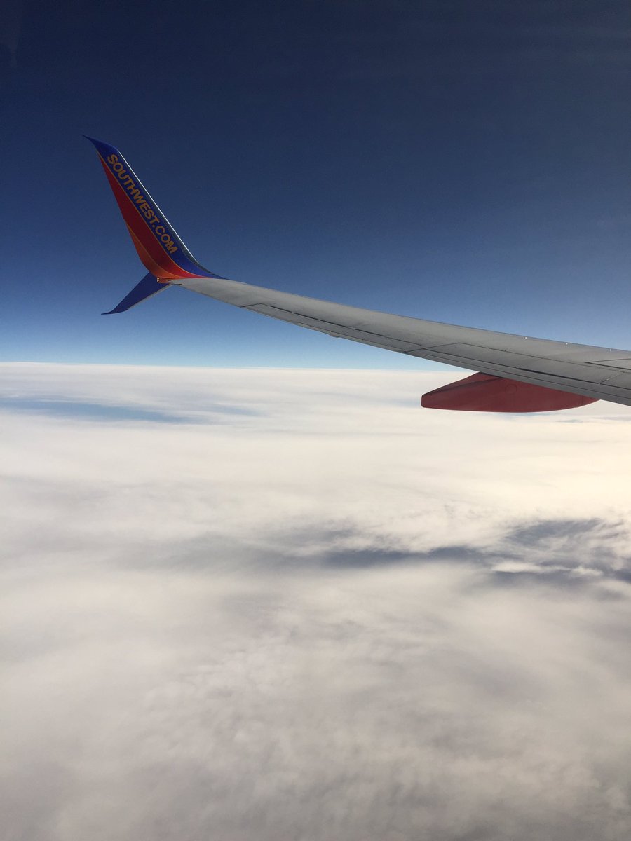ramgrad04's tweet photo. ❄️ ✈️ 🌴 https://t.co/kEf70iFV3M