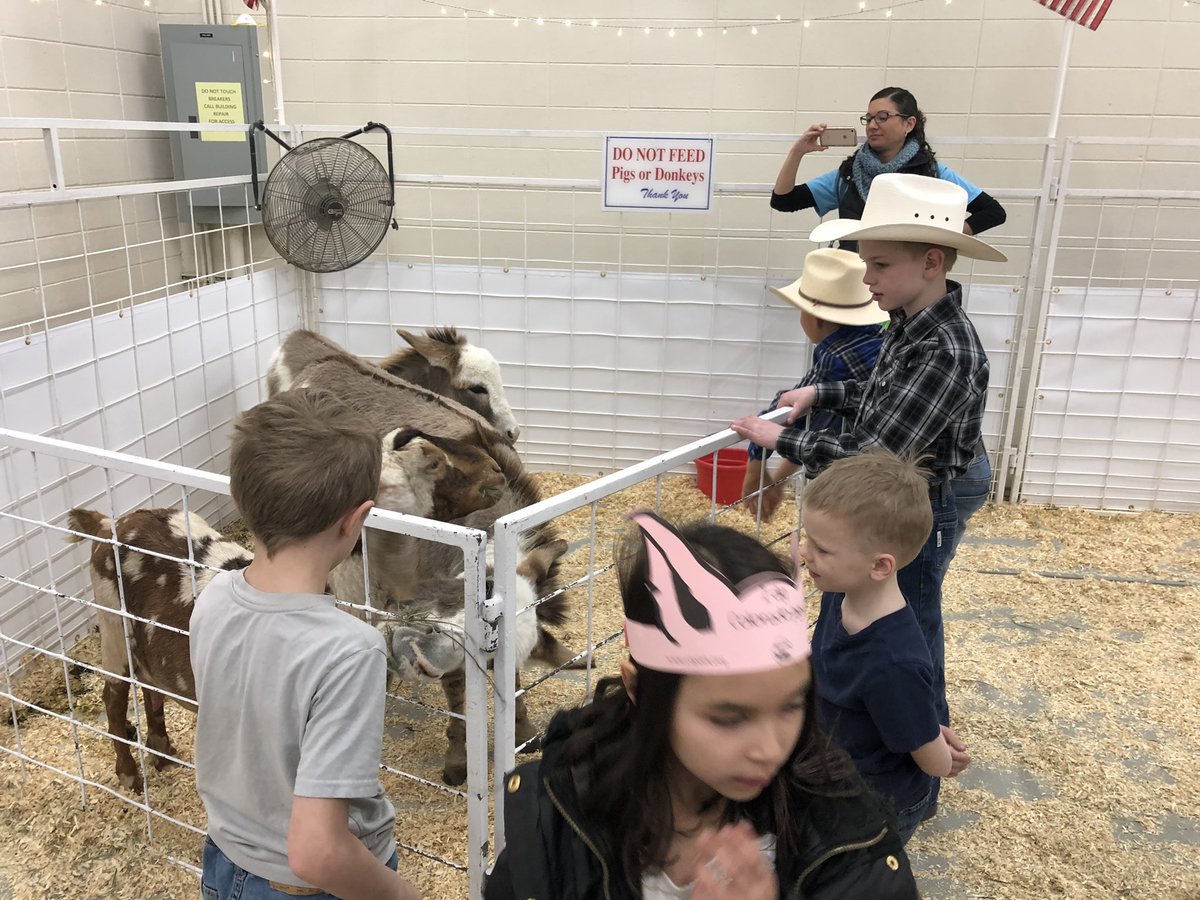 KiahSwanson's tweet photo. Stock showin’ it up @MountainSchools ! https://t.co/ljB2ltoHgm