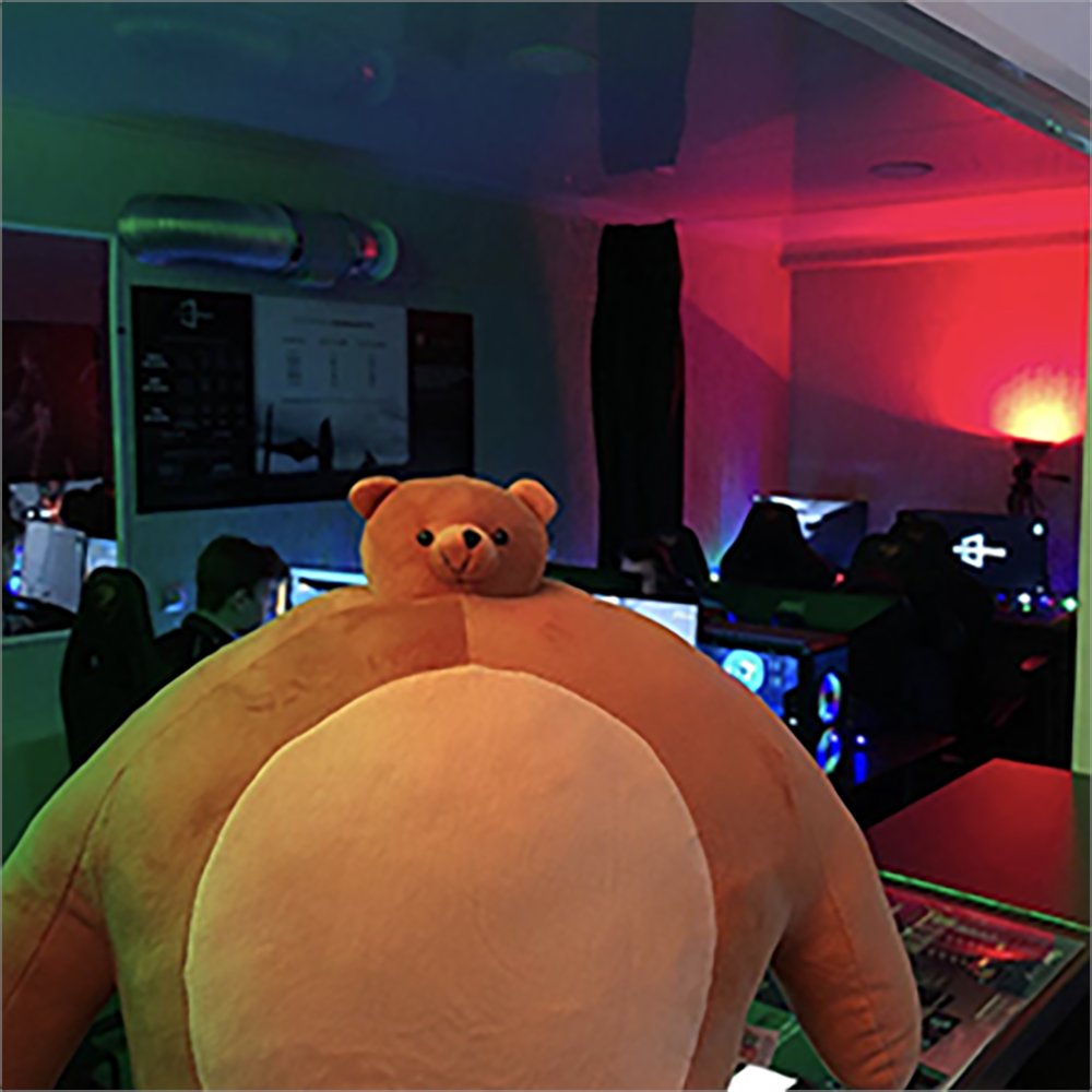 TinyHeadKingdom's tweet image. Shhhhh. There’s a class going on and people are trying to take notes. Pip is trying to decide which shadow puppet to make first.  

#thk #tinyheadedkingdom #tinyheads #tinyheadsbighearts #shareyourbear #pip #bear #stuffedanimal #plushie #plushiesofinstagram