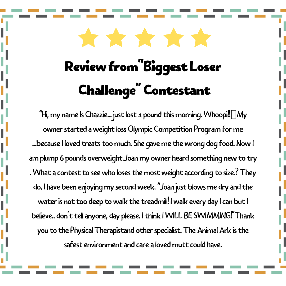 animalarknc's tweet photo. Thanks for the kind words, Chazzie! Sounds like you're well on your way to becoming a "fine boi"😉 💪 #biggestloser #biggestloserchallenge #animalarkvet #clemmonsnc #wsnc #vetmednc #animalarkveterinaryhospital #AAVH #weightlossawarenessmonth #weightloss #chonkypets https://t.co/yZjKrnvWqM