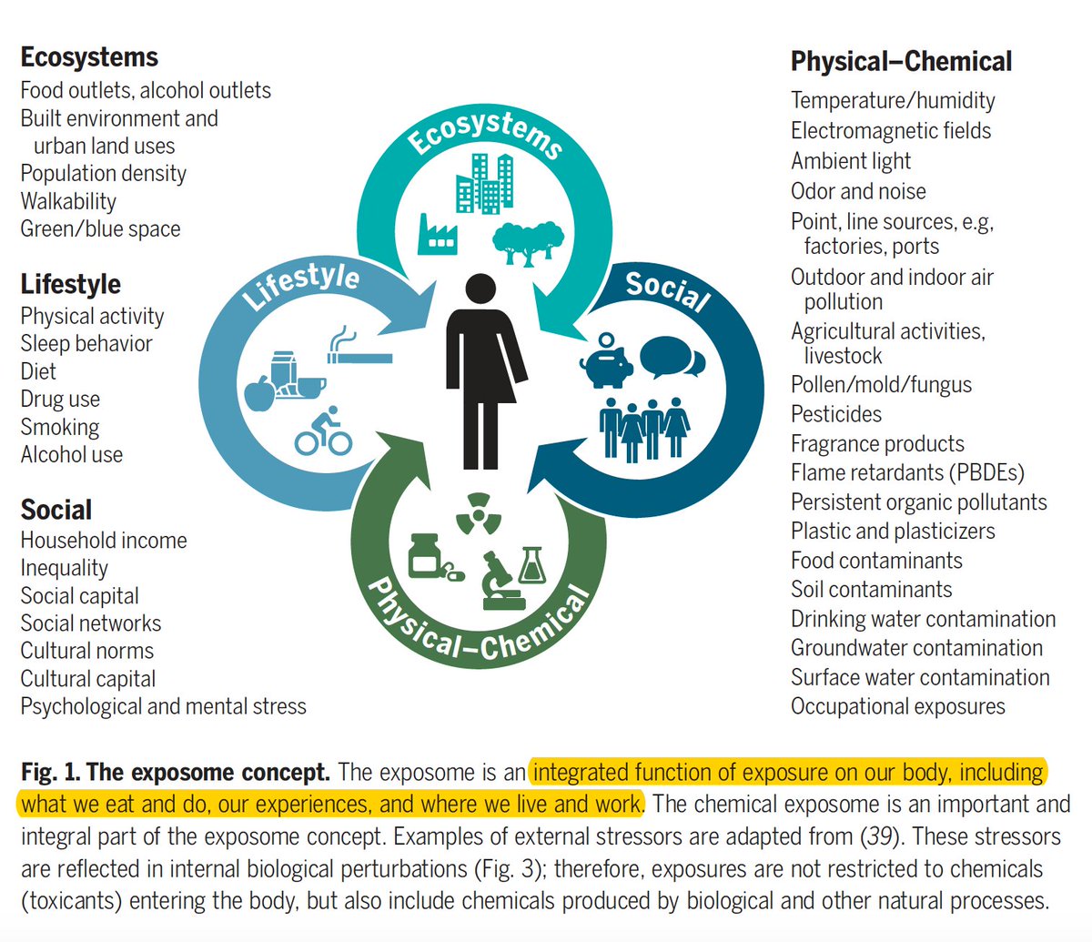EricTopol's tweet photo. Our environmental exposures (#exposome) and their influence on our health 
@sciencemagazine 
by @vrmlnroel @GaryWMiller3 @barabasi @ESchymanski
an outstanding review illustrating the preponderance of unknowns and need for EWAS research
https://t.co/fzSl3sXCm9 https://t.co/oE2LxzIdr9