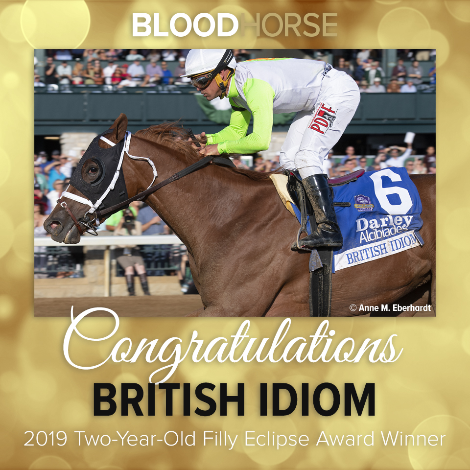BloodHorse's tweet photo. Congrats to British Idiom &amp; her connections, including trainer Brad Cox, owners Michael Dubb, The Elkstone Group, Madaket Stables &amp; Bethlehem Stables, breeders Hargus &amp; Sandra Sexton &amp; Silver Fern Farm, and Diamond B Farm, home of sire Flashback! https://t.co/eslgYx5uFA