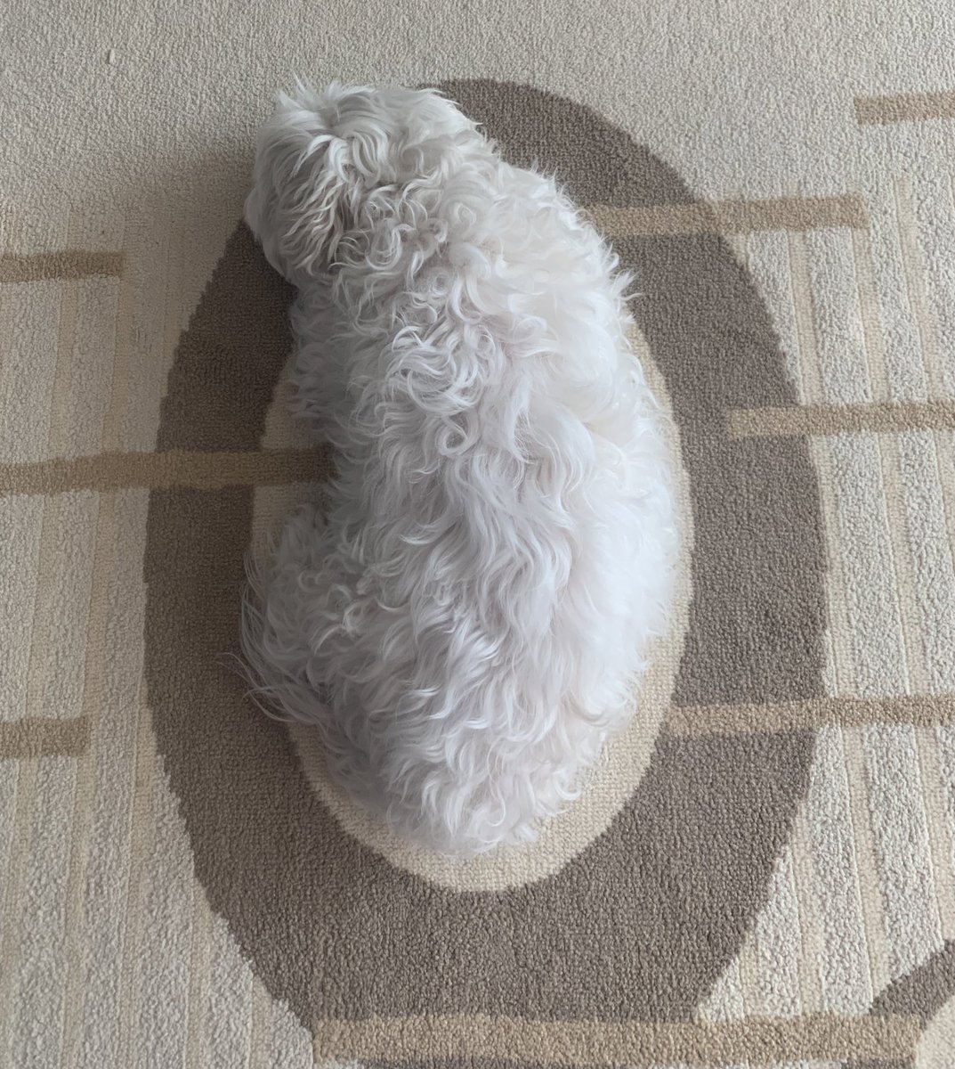 2e_lucky's tweet photo. 안정감 https://t.co/dE3qeaVwYF