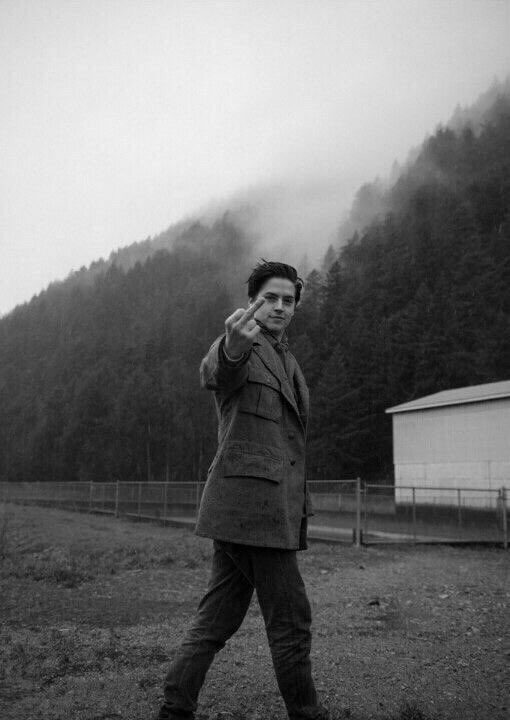 throwbacks tweet media