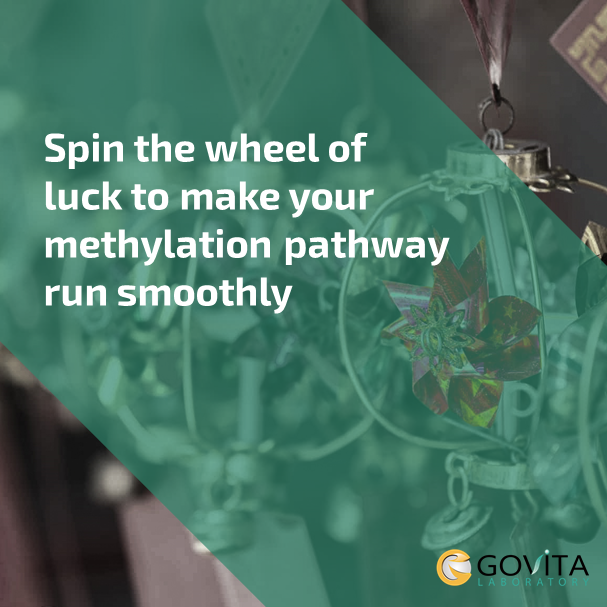 GovitaTech's tweet photo. Happy Chinese New Year and wishing good health and fortune to you all!
#govitahk #happycny #chinesenewyear #healthyliving  #holisticwellness #holistichealth #preventativehealth #methylationcycle #science #healthscience #antiaging #metabolictesting #genetictesting https://t.co/RQlnjtAnXB