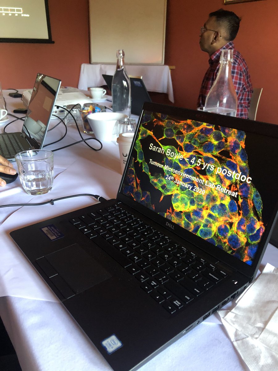 DrSarahBoyle's tweet photo. Lab retreat today for the #TMLab, fleshing out current and new projects and looking forward to this year and beyond. 💡📈💻 https://t.co/rrjRhHCApc