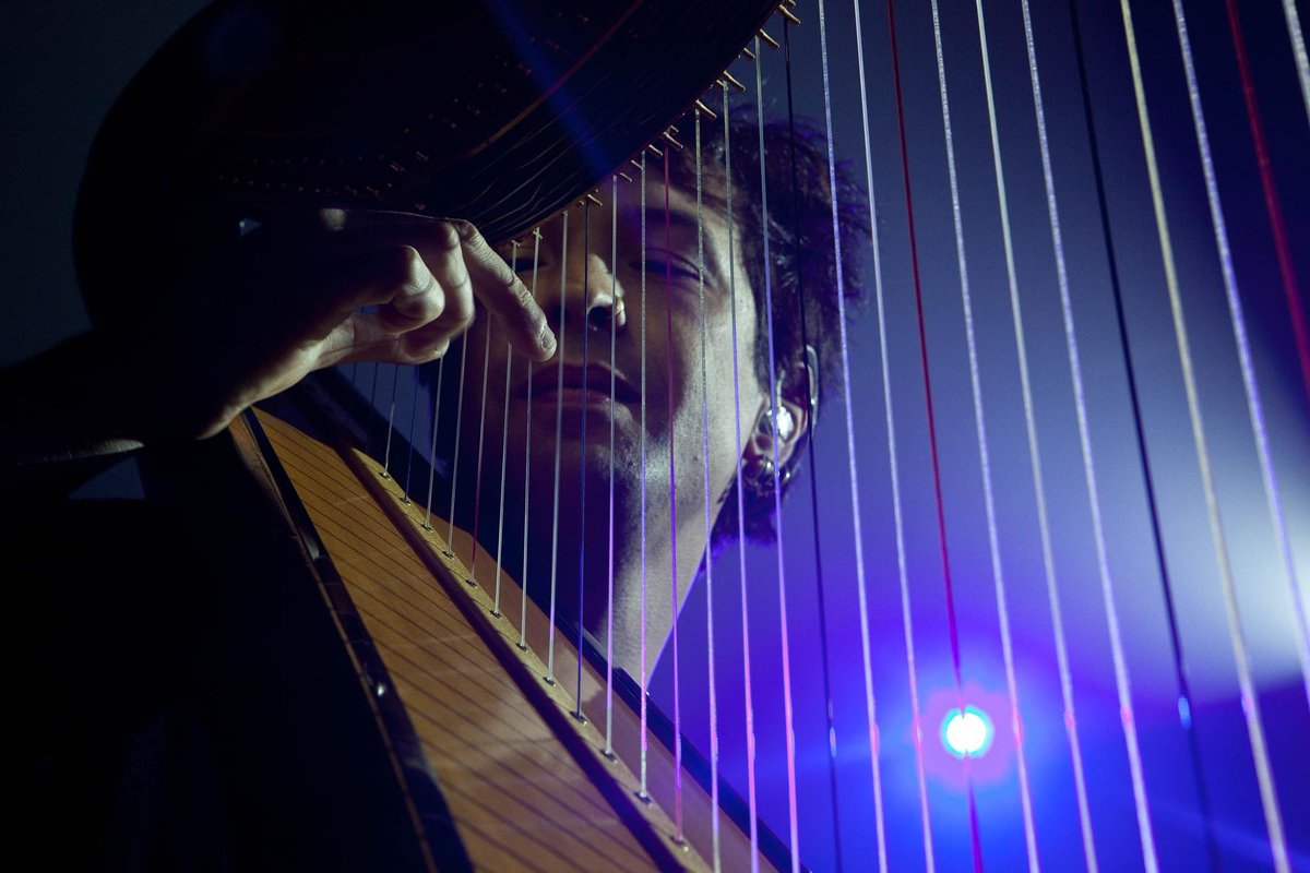 House of Lemon tweet media