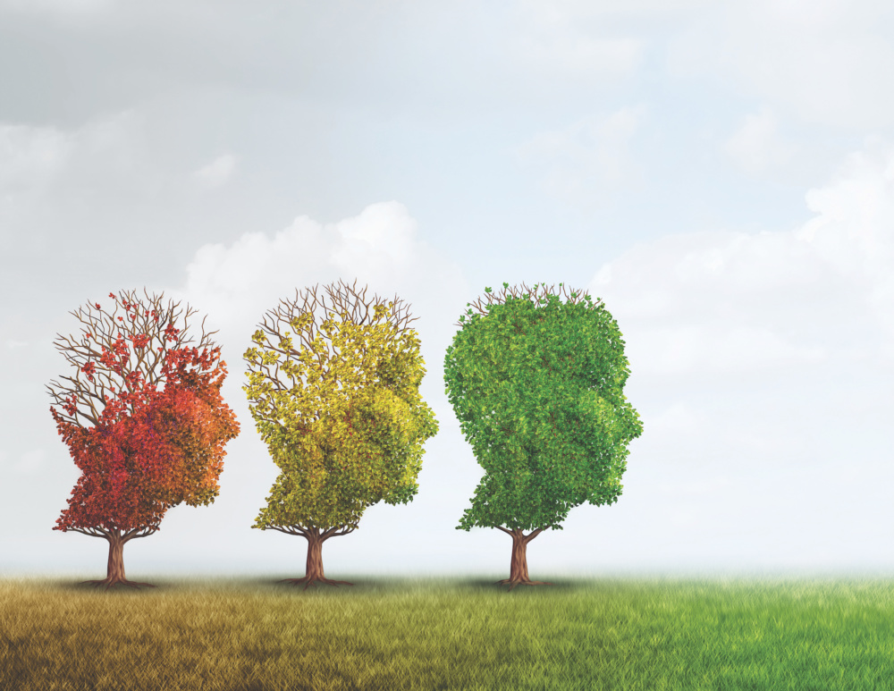 ReflectNeuro's tweet image. Making positive lifestyle choices is one of the best ways to keep your brain
healthy. Here's how to get started.
tinyurl.com/wt9lqg9
#ReflectNeuropsychology