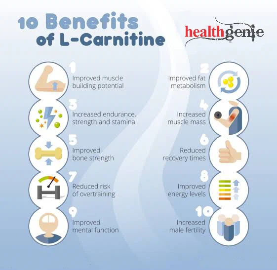 l carnitine health benefits Acetyl L-Carnitine | Superior Supplement Products - Science First Does L-Carnitine really effective?
