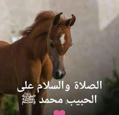 Ftoo_82's tweet photo. https://t.co/3Y1cP3SXaO