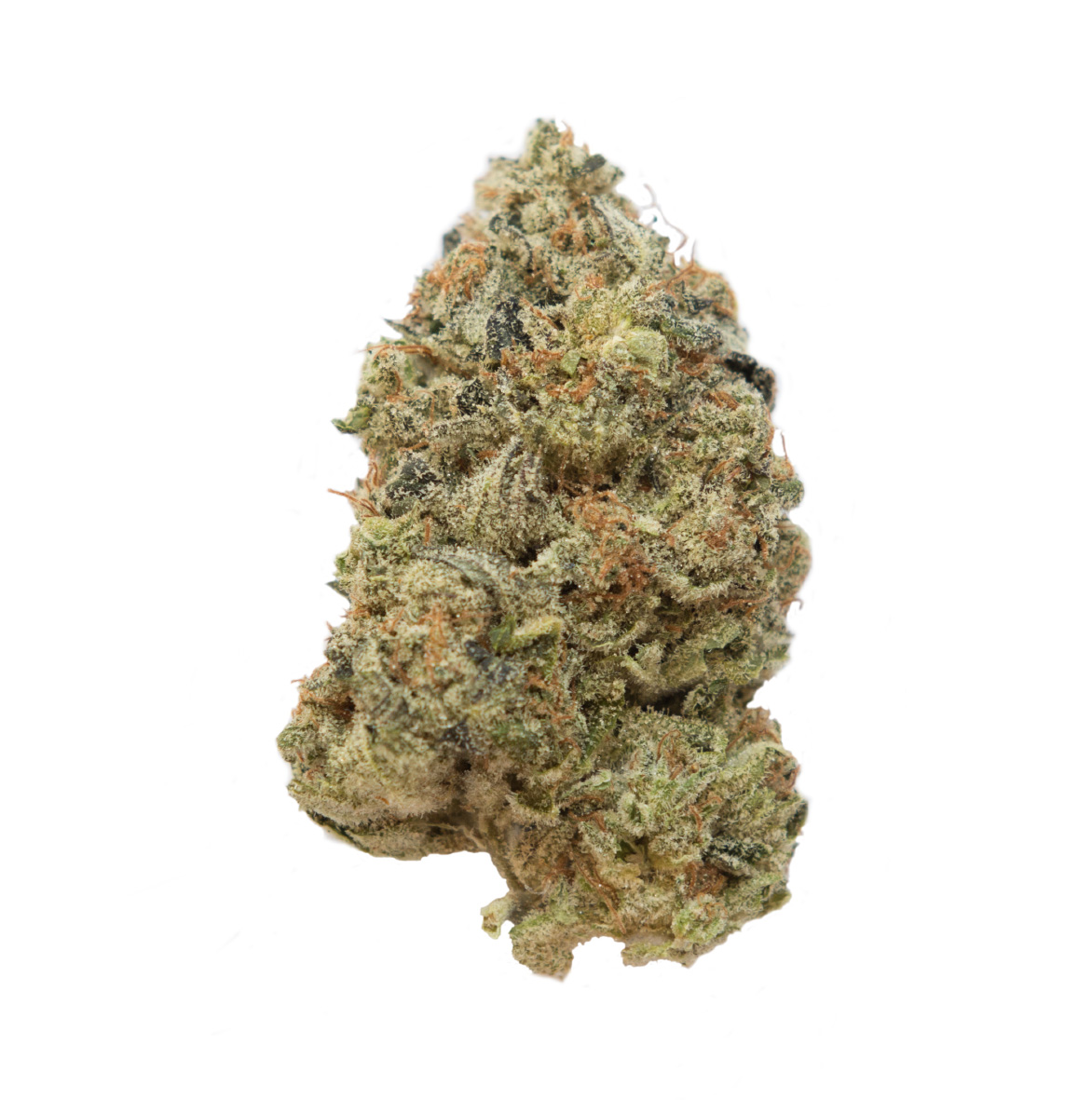 NugDatabase's tweet photo. Strain of the day #TangerineG13! ๐
This #strain is an #indica dominant #hybrid that comes with a powerful #sweet aroma and flavor, with a #pleasant uplifting #sativa finish! ๐โ๏ธ๏ธ
https://t.co/KP0ERrlb5j
#Cannabis #StrainOfTheDay #420fam #420life #NugDatabase
๐ฒ๐ฅ๐๐จ https://t.co/ykievE1RFn