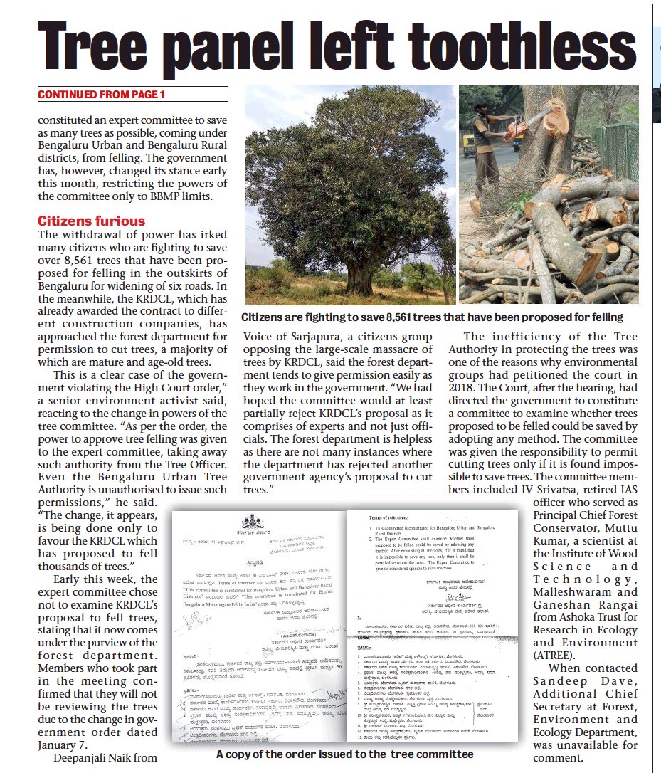 Treechery 🌲 

Just when the KRDCL has proposed to cut over 8,500 trees in the outskirts of Bengaluru, the Forest Department has stripped the Court-monitored tree committee of its powers to reject the felling of trees outside BBMP limits.