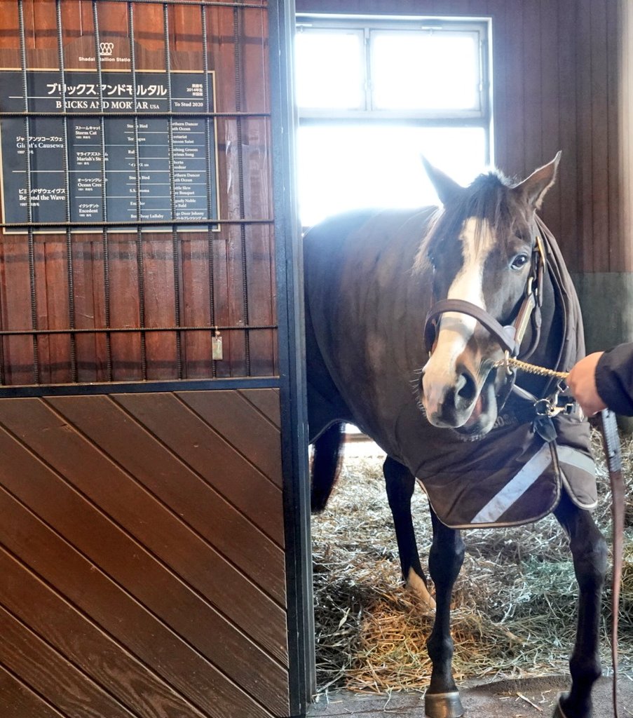 アンド モルタル ブリックス