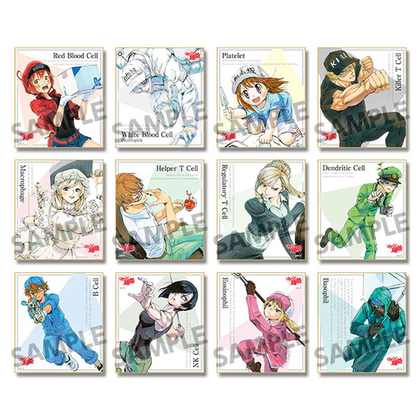 [신규예약] :: 일하는 세포 :: 하비스톡 트레이딩 미니 색지 12종 💕20년 03월 발매 🔗https://ittanstore.com/product/search.html?banner_action=&keyword=%EC%9D%BC%ED%95%98%E...