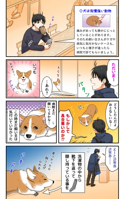 うちの犬の様子がいつもと違った時の話 