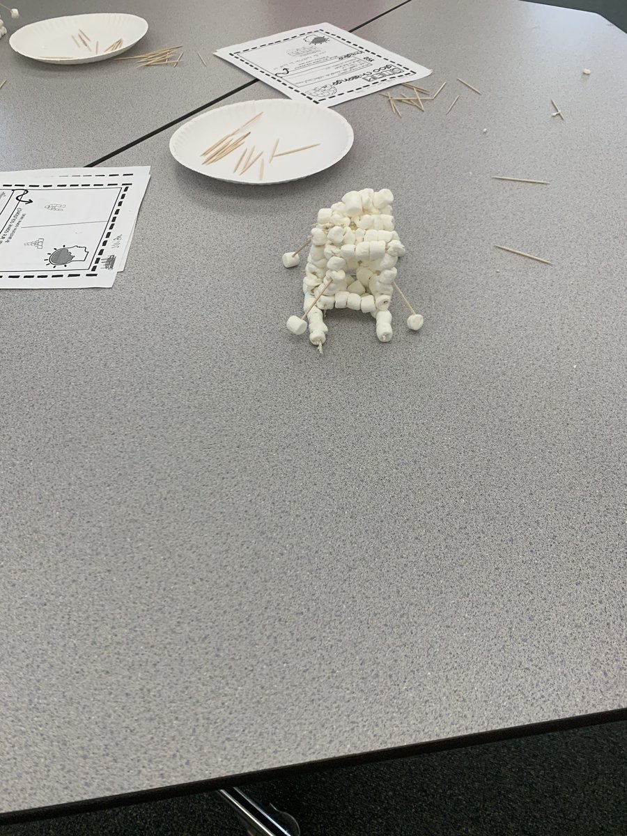 MrsFlint24's tweet photo. Here are some of the final results after the 20 minute challenge to build an igloo. So glad the students had fun while learning at the same time!! #RTIGroup #BuildAnIgloo #HydeWarriors @HydeElem @HydePrincipal @HydeSpecials https://t.co/TkfFbGWQxC
