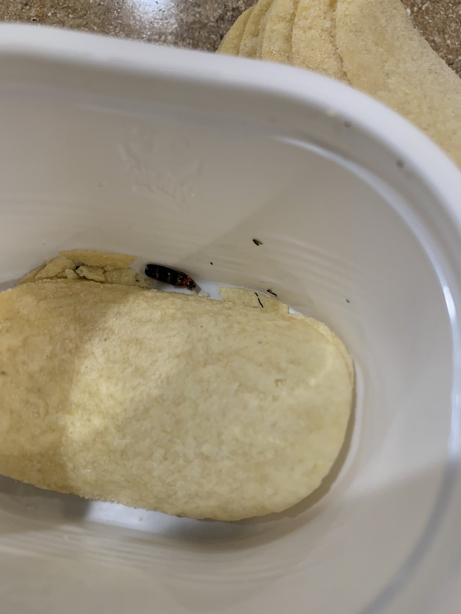 anmiller215's tweet photo. Thanks @Pringles (yes I sent a product complaint, but the world must know) https://t.co/rTqkjqvzjD