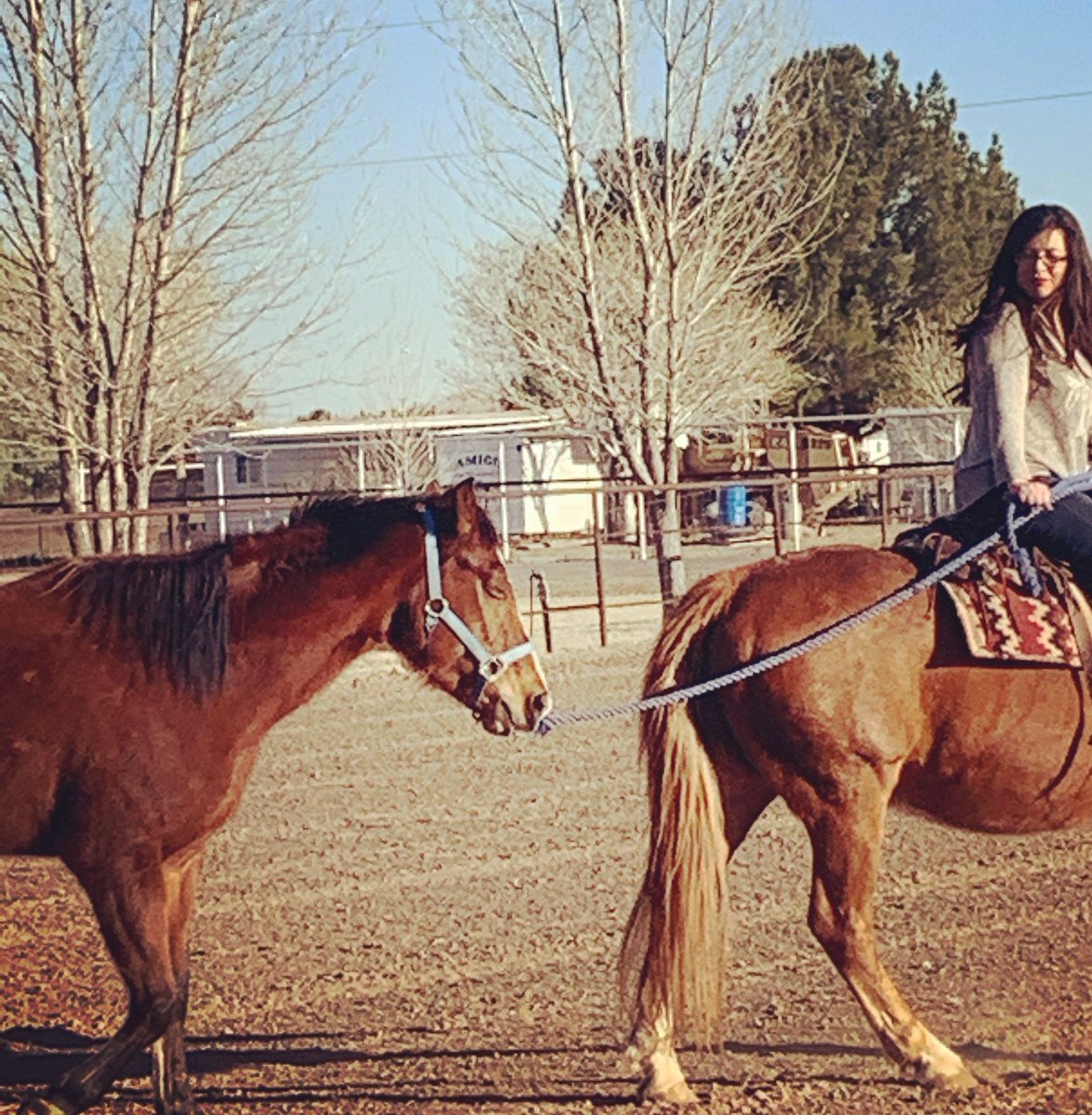 RepMaryGonzalez's tweet photo. #maryfact- I have 2 horses. Frito & Isla. Pictures of me riding are always of Frito. Isla, is rarely in pictures bc I am still working with her which been one of the coolest experiences. We are growing and learning together, every day strengthening our bond and trust. https://t.co/pB4Y9aSYWz