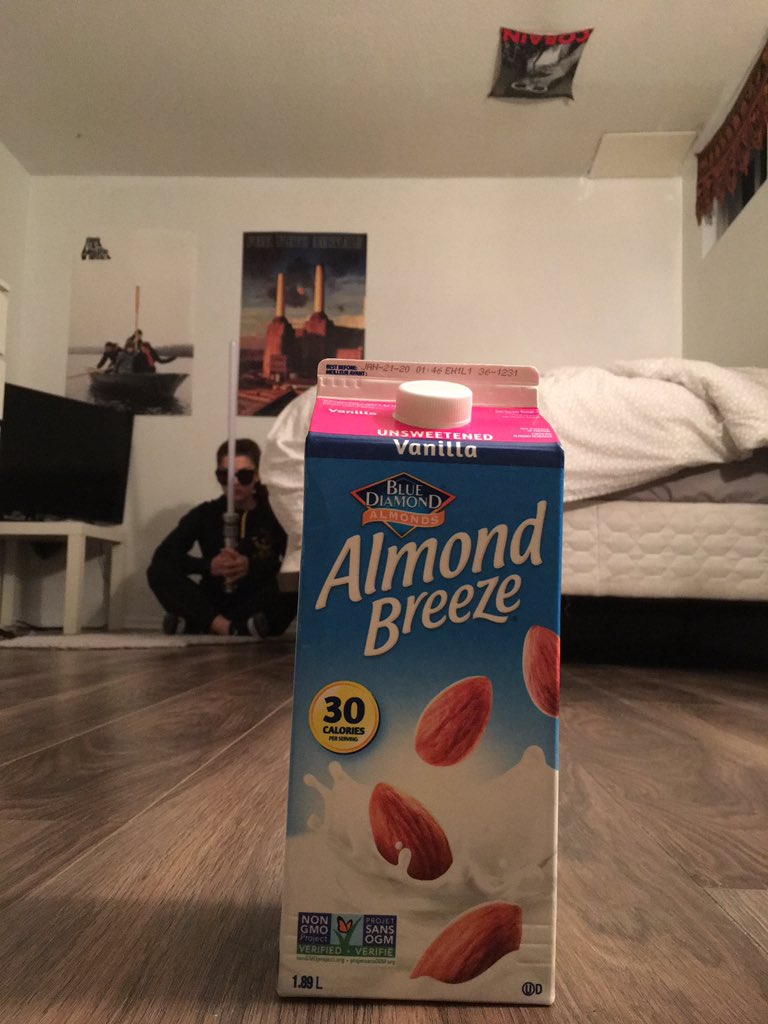 shitheadkat's tweet photo. heard almond milk is killing the bees https://t.co/vVnLC54hIg