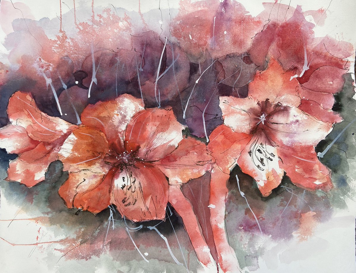 lupusDerWolf's tweet photo. #Amaryllis #flowers #watercolor #watercolorartist #watercolorpainting https://t.co/lIMMtZf5VF