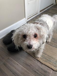 TwiterHero tweet media