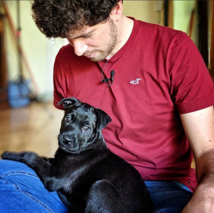 Rafaxozer_18's tweet photo. 10 años de mala suerte al que no le de ,🔄 y♥️ a la belleza de estos dos prros :3. https://t.co/WkHD0cLRvo